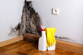  , USA Mold Remediation Pros